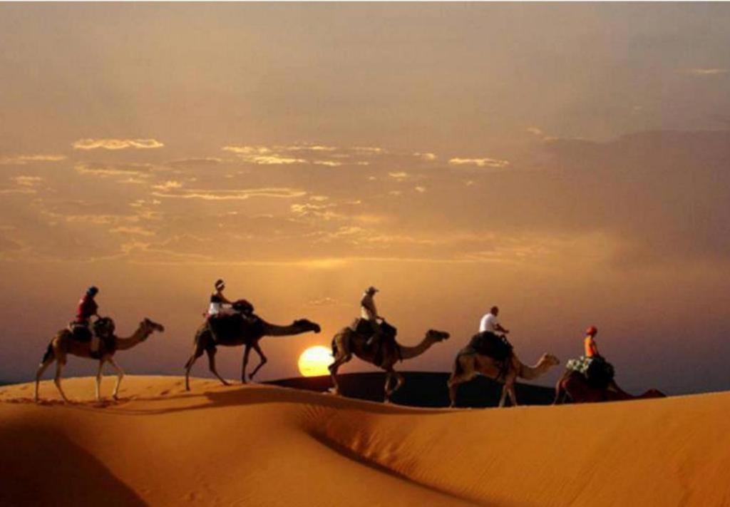 Bed and Breakfast Camp Sahara Majestic M'Hamid Esterno foto