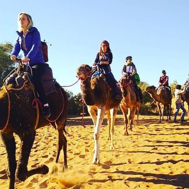 Bed and Breakfast Camp Sahara Majestic M'Hamid Esterno foto