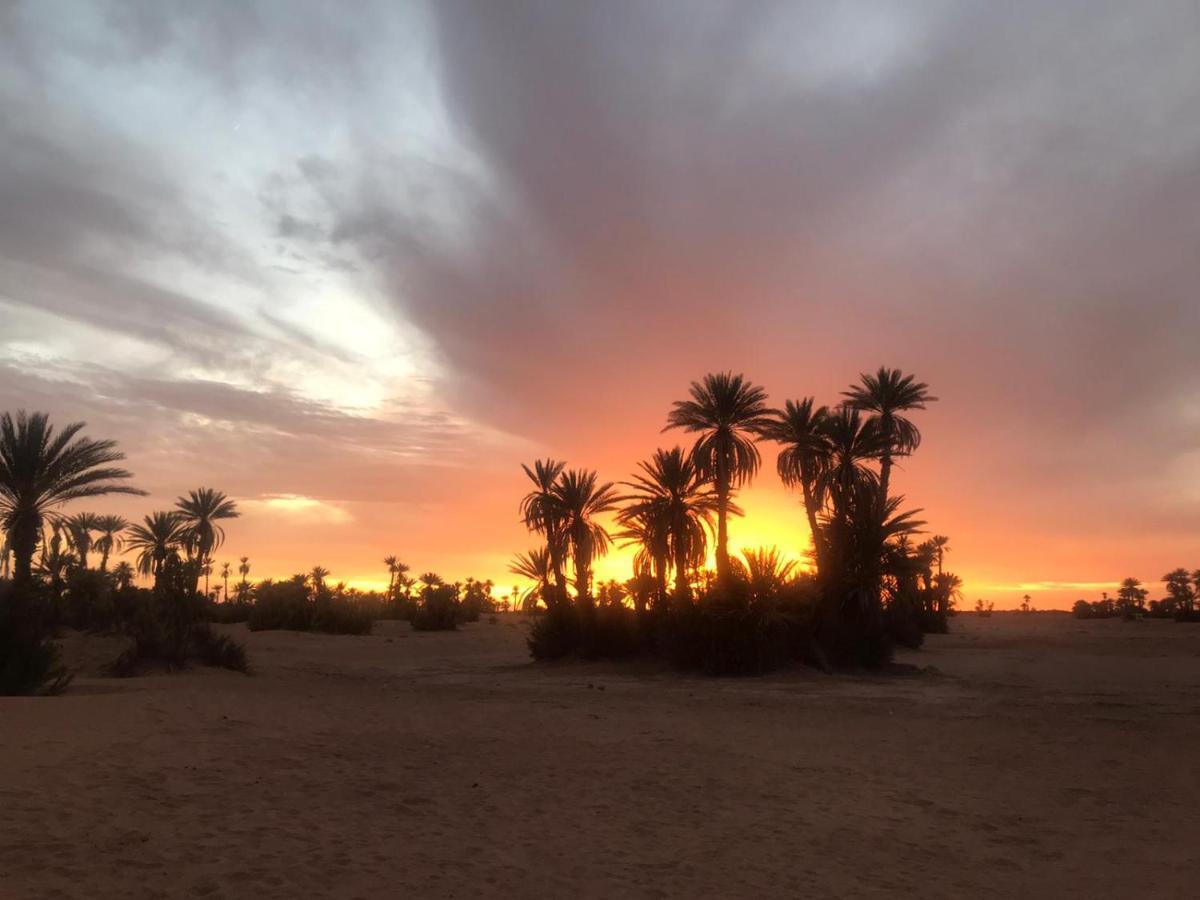 Bed and Breakfast Camp Sahara Majestic M'Hamid Esterno foto