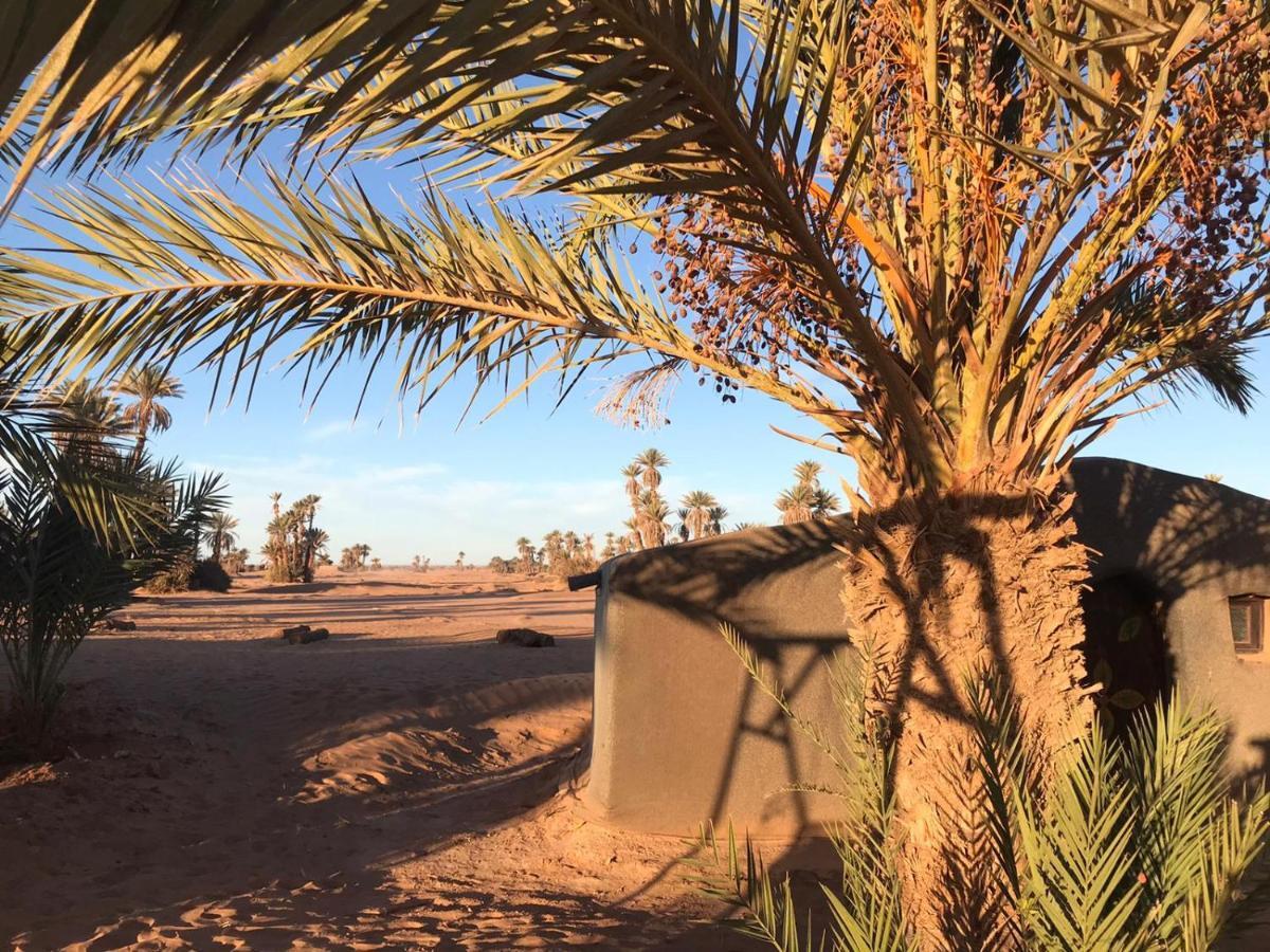Bed and Breakfast Camp Sahara Majestic M'Hamid Esterno foto