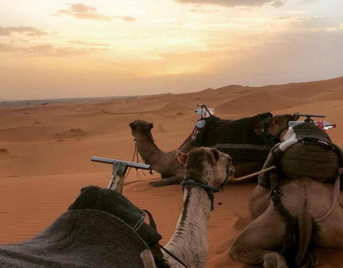 Bed and Breakfast Camp Sahara Majestic M'Hamid Esterno foto