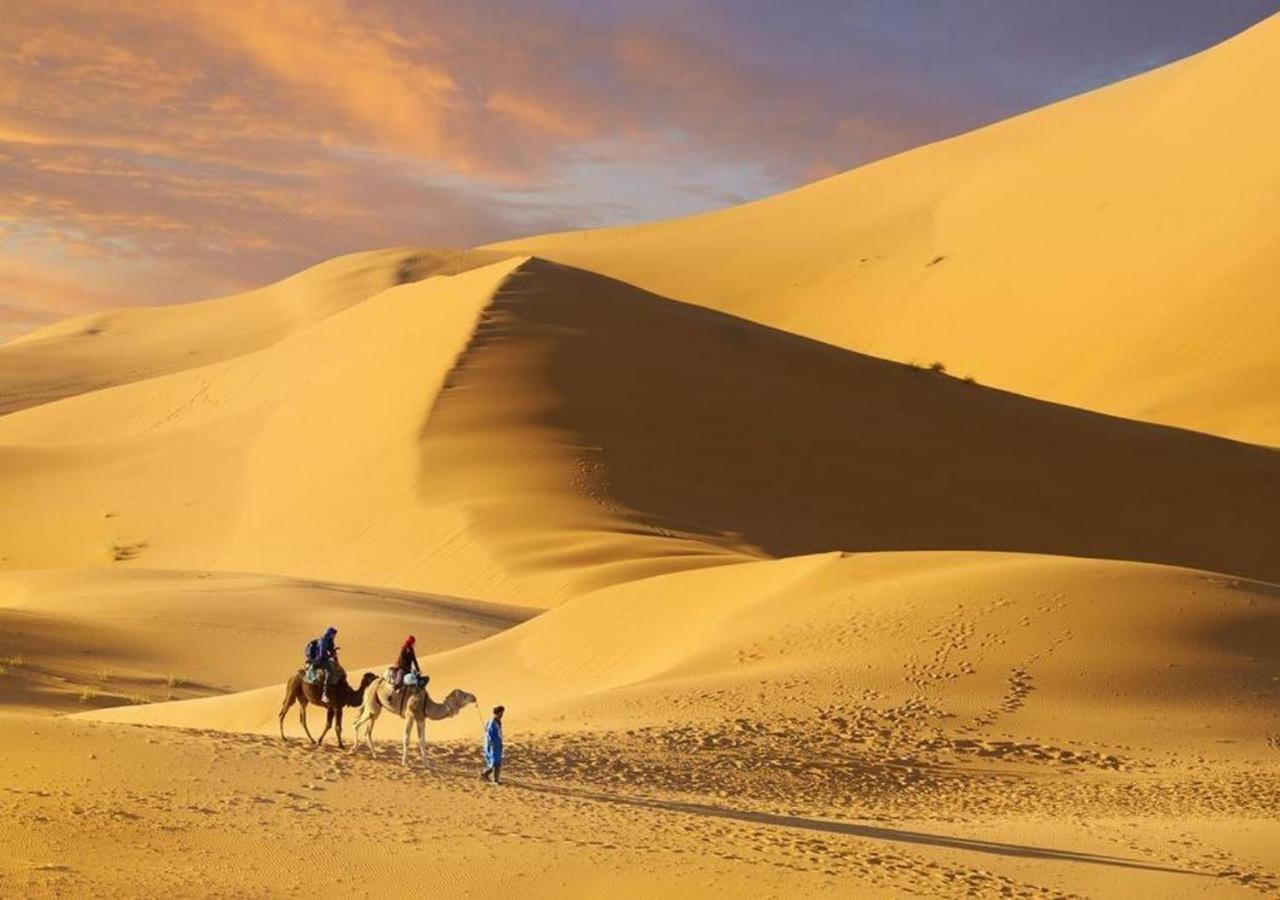 Bed and Breakfast Camp Sahara Majestic M'Hamid Esterno foto